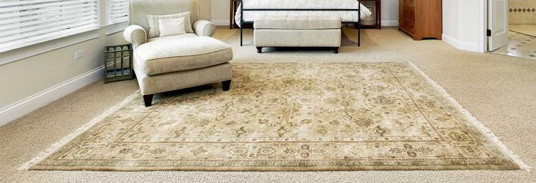 best carpet cleaners for home use
